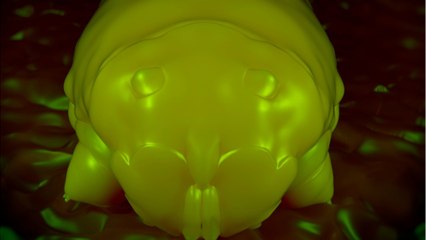 Face It: Your Face Is Covered With Oil-Sucking Bugs That Came From Your Grandma