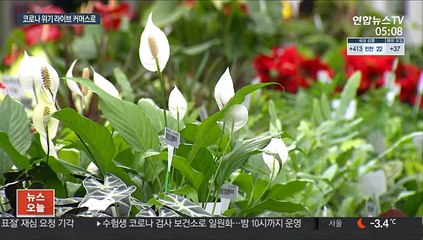 코로나19 직격탄 맞은 화훼농가…라이브 커머스로 돌파