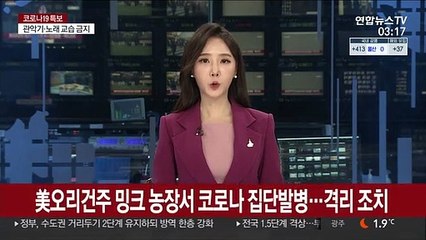 美오리건주 밍크 농장서 코로나 집단발병…격리 조치