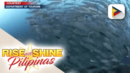 Pilipinas, muling kinilala bilang World's Leading Dive Destination sa 27th World Travel Awards