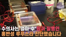 얼굴이 무너져 버림 받은 강아지가 길거리를 떠돌게 되는데...