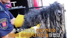 오랜 방치로 털이 자라 움직이지도 못하는 개를 구조하자 보인 반응..