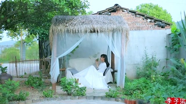 Largos, tiernos y frescos: los brotes de soja son nutritivos y no contaminan