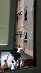 Staff Scale Building to Rescue Dog