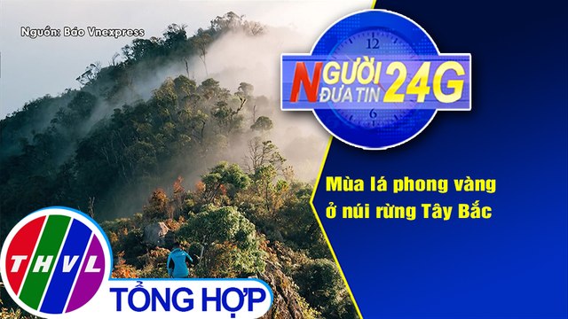 Người đưa tin 24G (6g30 ngày 29/11/2020) - Mùa lá phong vàng ở núi rừng Tây Bắc