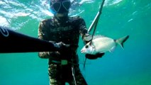 Spearfishing White Sea Bream / Zıpkınla Sargoz Avı