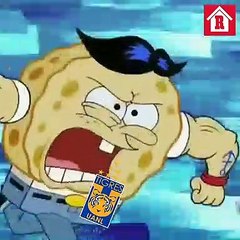Cruz Azul eliminó a Tigres DESCRIPCIÓN GRÁFICA