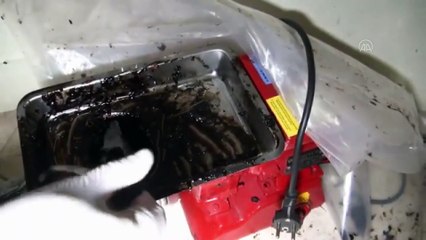 İSTANBUL - Kargo şirketinde 64 kilo 280 gram afyon sakızı ele geçirildi