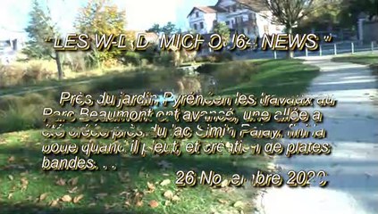 LES W-D.D. MICHOU64 NEWS - 26 NOVEMBRE 2020 - PAU - PARC BEAUMONT 3ème SEMAINE DE TRAVAUX CRÉATION DE PLATES BANDES ET D'ALLÉES