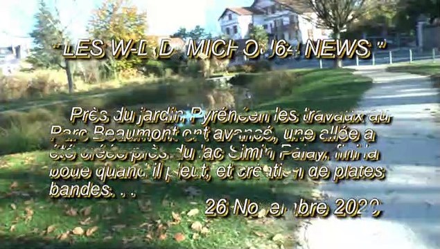 LES W-D.D. MICHOU64 NEWS - 26 NOVEMBRE 2020 - PAU - PARC BEAUMONT 3ème SEMAINE DE TRAVAUX CRÉATION DE PLATES BANDES ET D'ALLÉES