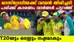 David Warner ruled out of final ODI, T20I series against India | Oneindia Malayalam
