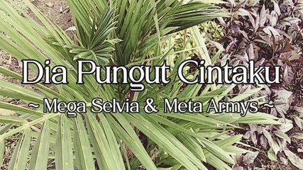 Mega Selvia & Meta Armys - Dia Pungut Cintaku (Official Lyric Video)