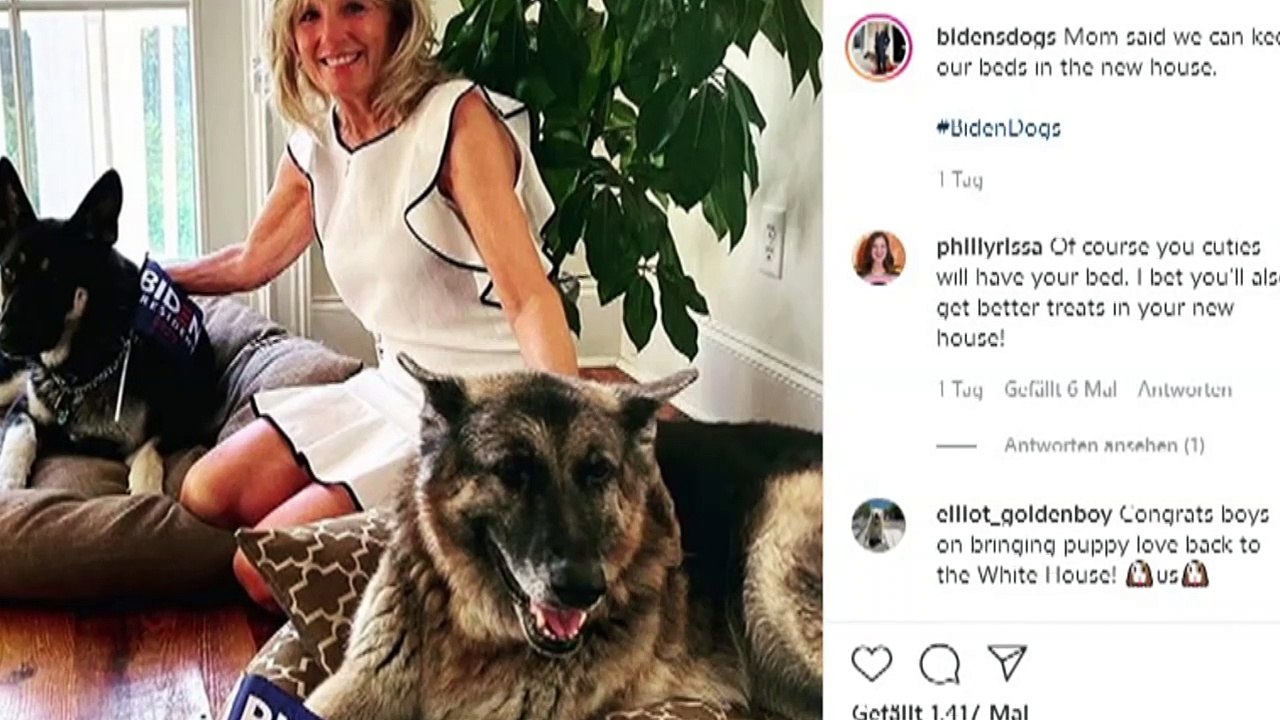 Joe Biden verletzt sich beim Spielen mit seinem Schäferhund