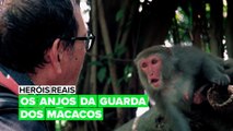 Heróis Reais: Os Anjos da Guarda dos Macacos