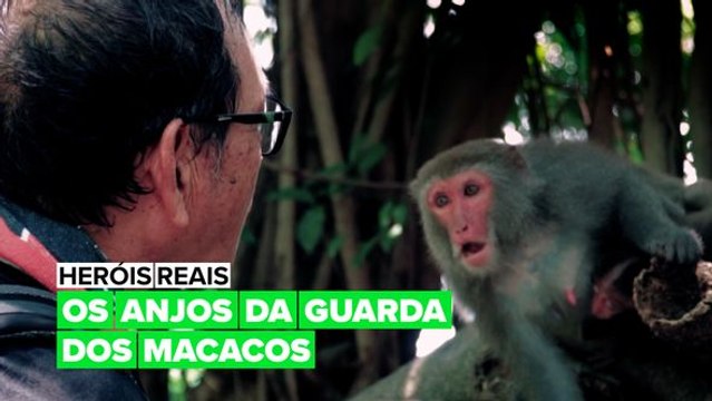 Heróis Reais: Os Anjos da Guarda dos Macacos