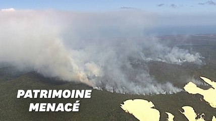 En Australie, les feux ravagent une île classée au patrimoine mondial