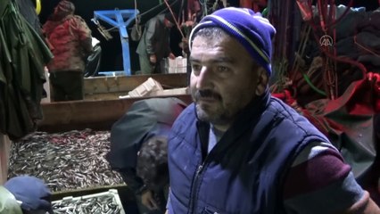 BARTIN - Palamuda erken veda eden balıkçıların umudu hamside