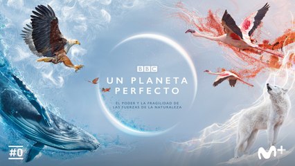 Un planeta perfecto (#0) - Tráiler español (VOSE - HD)