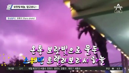 보랏빛 하늘, 알고보니…