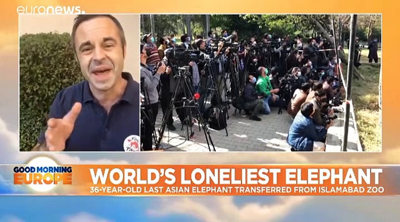 Meet Kaavan, the world’s loneliest elephant, transferred from Islamabad Zoo thanks to Cher