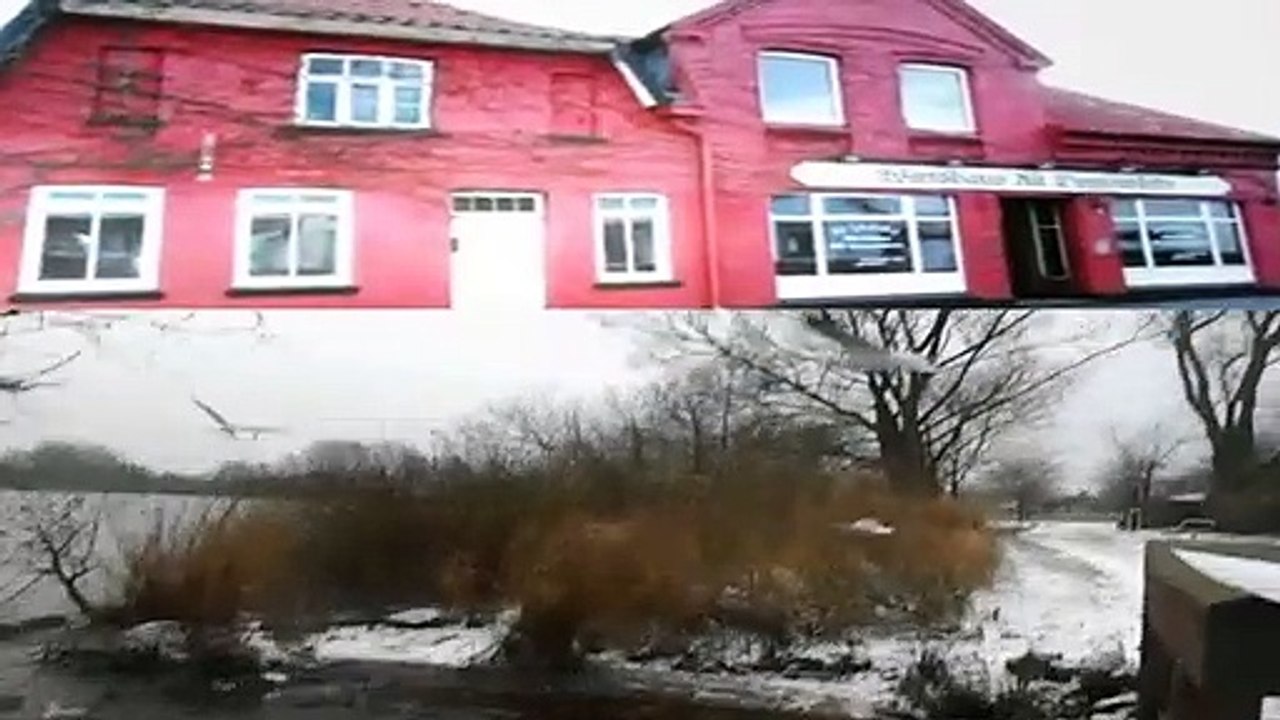 15,7 Billionen Aufrufe. BILD, Mopo; Gunga. Wie schneiden Informatiker Zwiebeln; gar nicht, sie hacken sie! 30.11.2020