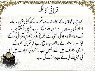 Qurbani Ka Hukam | HD Umrah | Islamic