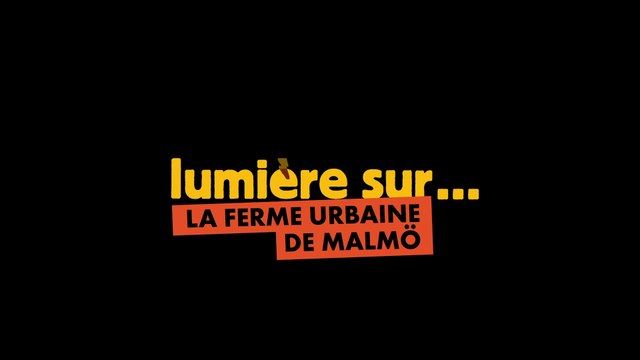 Quand faire pousser des légumes repousse les frontières