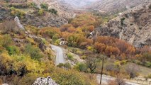 BATMAN - Angebire Vadisi'nde sonbaharın renkleri görsel şölen sunuyor