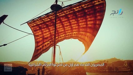 الإعدام عقوبة قتل القطط وهذا سر اسمها: معلومات قد لا تعرفها عن مصر