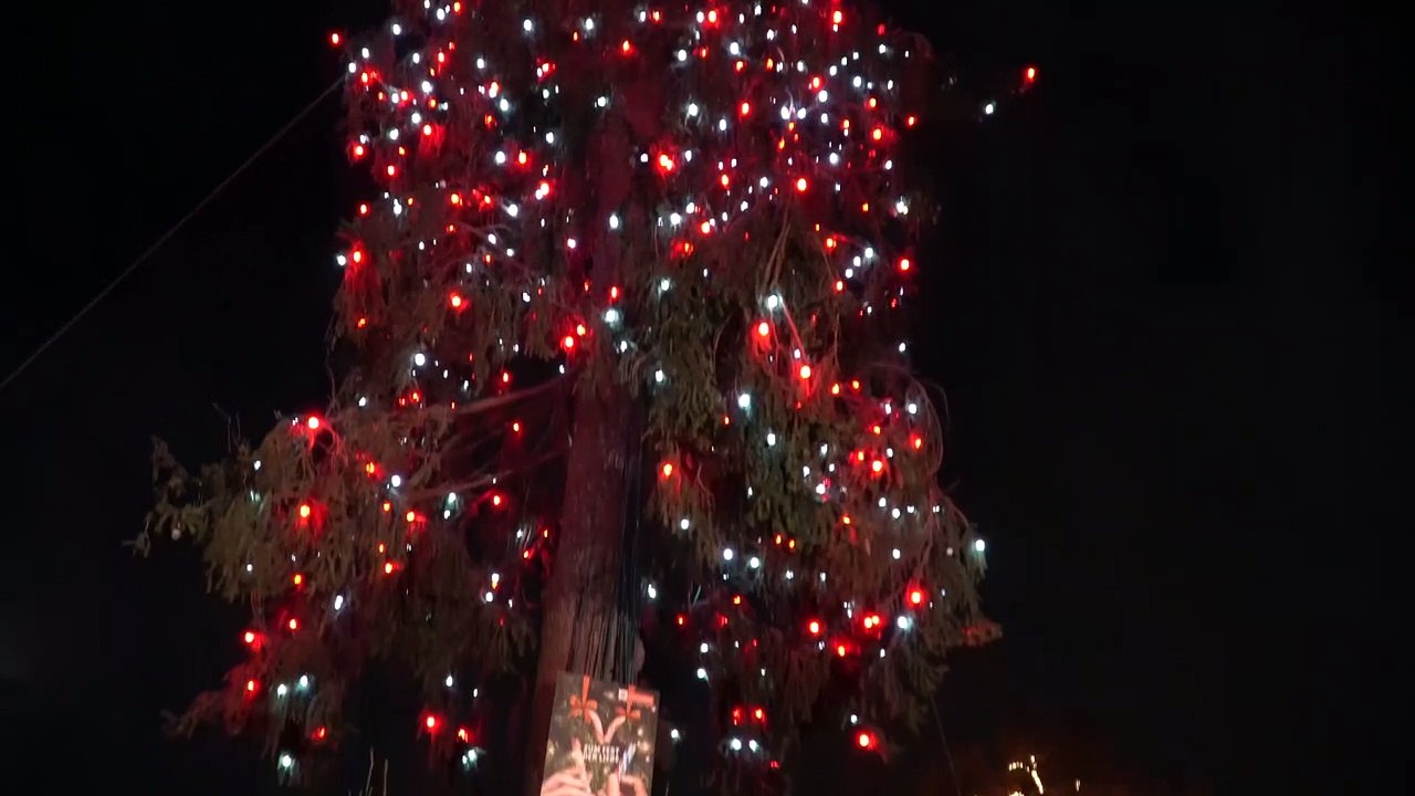 Wien - Weihnachtsbaum am Rathausplatz illuminiert