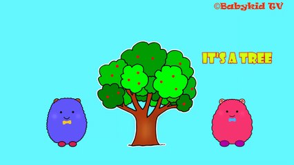 What's this? / What's this – Flashcards