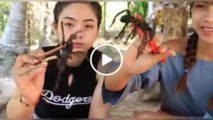 Asiaticas Comen Arañas | you're