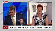 Pauline Hanson calls for Australian boycott of Chinese products