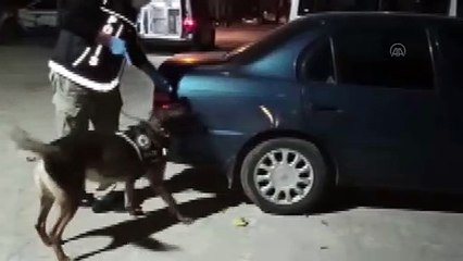 DENİZLİ - Uyuşturucu operasyonlarında 10 kişi tutuklandı