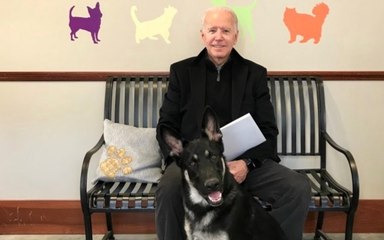 Joe Biden Suffers ‘Hairline Fractures’ in Foot While Playing With Dog