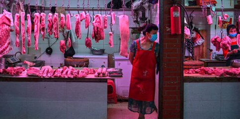 Un an après les premiers cas de covid 19, l'origine du virus demeure un mystère