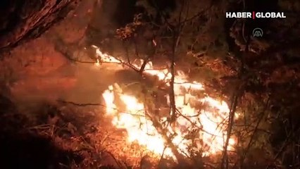 Kastamonu'da orman yangını