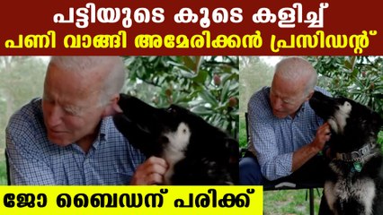 Joe Biden got injured while playing with his dog | Oneindia Malayalam