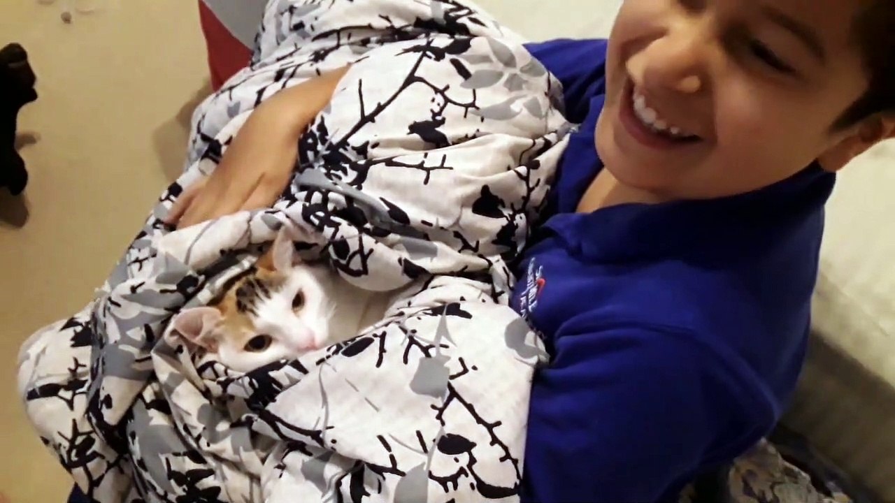 My baby my cat