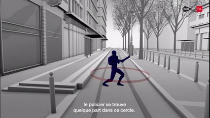 Mort de Zineb Redouane: selon une contre-expertise indépendante, "la responsabilité du tireur et de son superviseur restent clairement engagées"