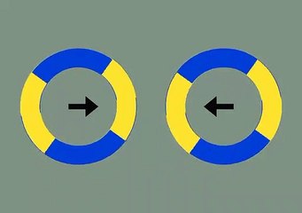 Des cercles immobiles qui bougent (Illusion d'optique)