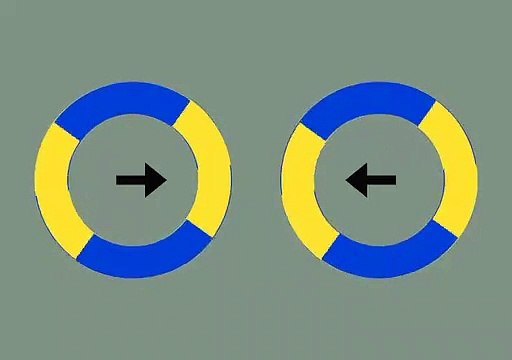 Des cercles immobiles qui bougent (Illusion d'optique)