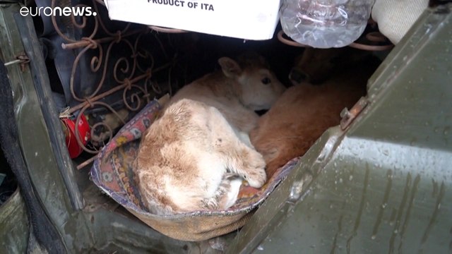 Армяне покидают Лачинский район