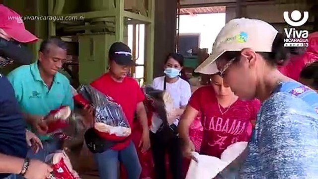 Más de 59 mil bonos serán entregados a productores afectadas por huracanes