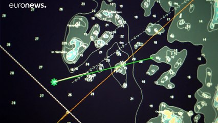 WWF: Κάμερες στα αλιευτικά για να σωθούν τα δελφίνια