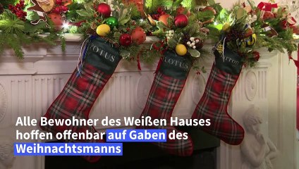 Kitsch? Prunk? Die Weihnachts-Deko im Weißen Haus