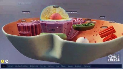 Uzak ve verimli eğitim nasıl olur? | Video