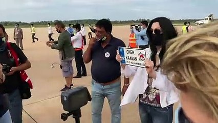 Cher recepciona o 'elefante mais solitário do mundo'