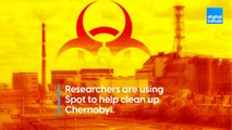 Spot is being used to help clean up Chernobyl