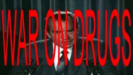 Drug Abuse and the Criminal Justice System